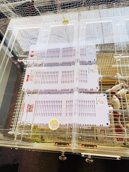 鳥かごの上に設置したパネルヒーター
