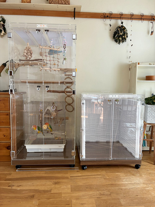 シロハラインコの大型アクリルケース