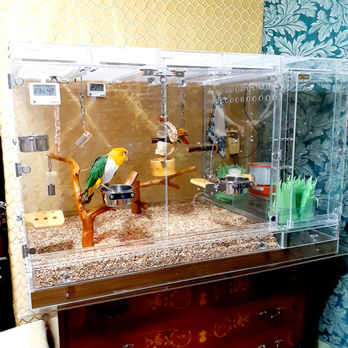 シロハラインコ用のアクリルケース