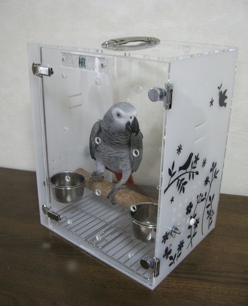 ���E���̃A�N�����L�����[