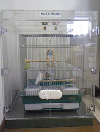 �����̒���������ꂽ�A�N�����P�[�X