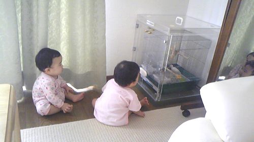 �Ԃ�����������ɋ����ÁX