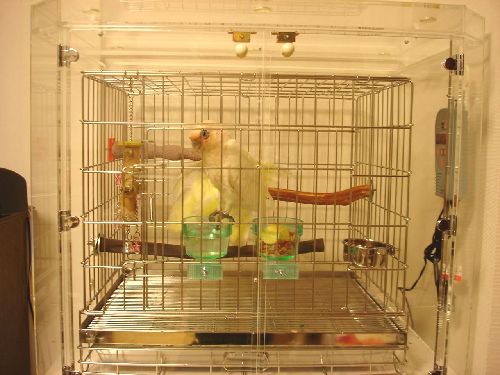 ���}�������A�J�r�^�C���W�I�E��