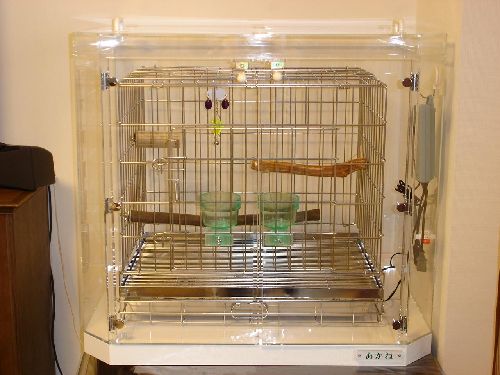 �C���R�p�̘Z�p�`�A�N�����P�[�X