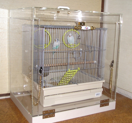 �Z�L�Z�C�C���R�̒���������ꂽ�A�N�����P�[�X