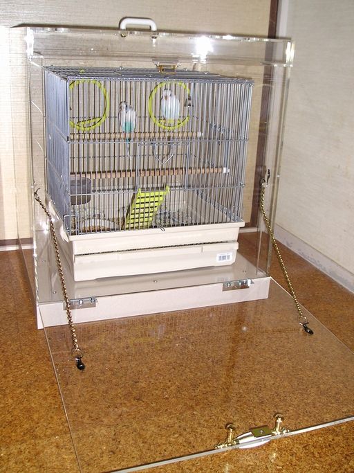 �A�N�����P�[�X�@�����J�����Ƃ���