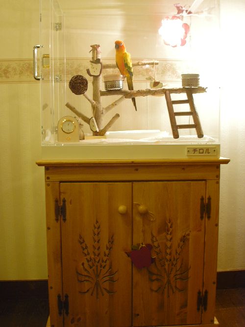 コガネメキシコインコのアクリルケース