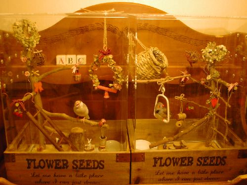 文鳥とキンカチョウのアクリルケース