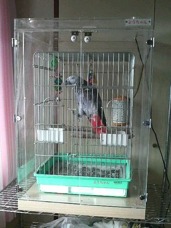 ���E���̎����΍�ɃA�N�����P�[�X