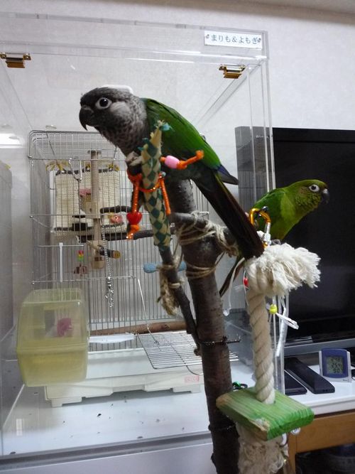 ���������E���R�C���R