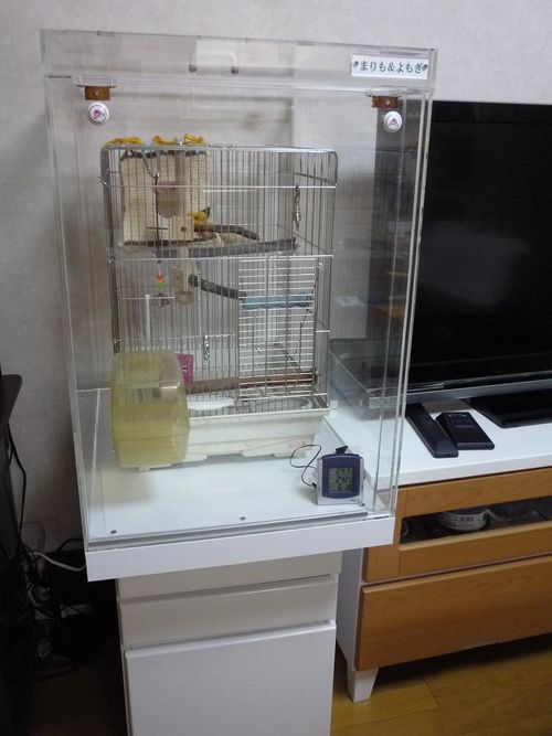 ����������ꂽ�A�N�����P�[�X