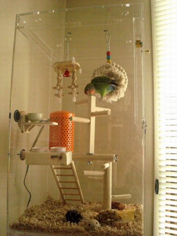 ���Ɏ~�܂�؂Ƃ�������ݒu