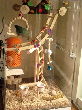 �C���R�̃O�b�Y����