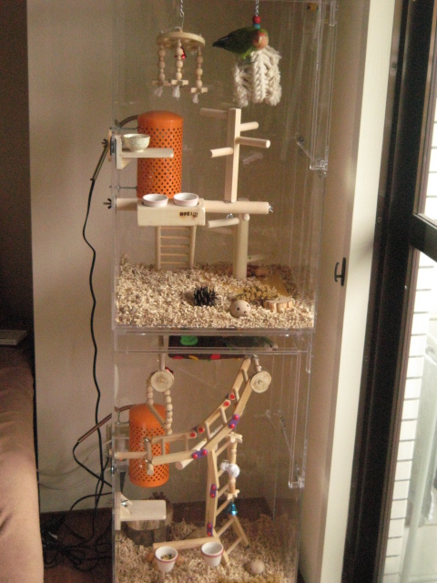 �R�U�N���C���R�̃A�N�����P�[�X�@2�i�d�ˎd�l