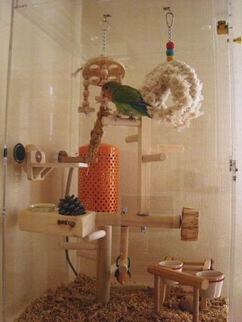 �y�b�g�q�[�^�[���ݒu