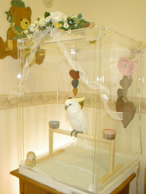 �L�o�^���̓������A�N�����P�[�X