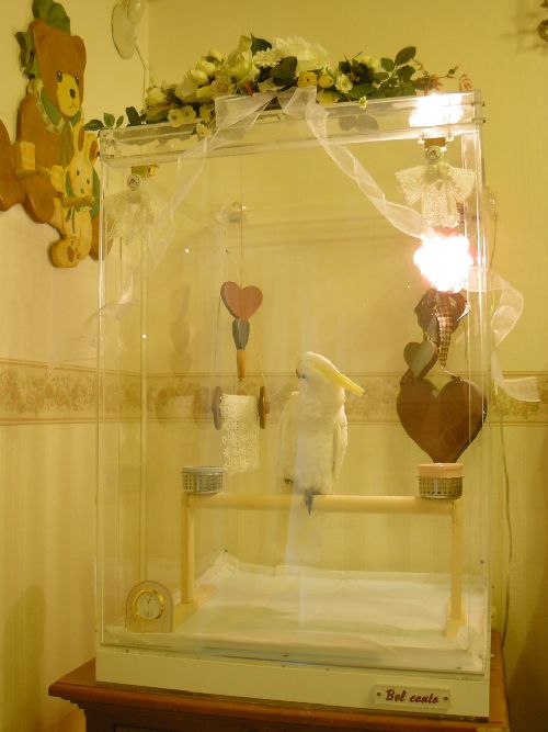 �L�o�^���̃A�N�����P�[�X