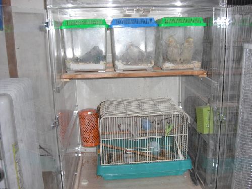 ���̕ۉ��P�[�X