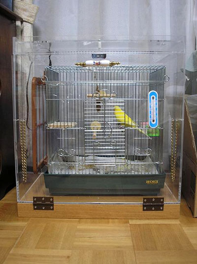 �Z�L�Z�C�C���R�̃A�N�����P�[�X