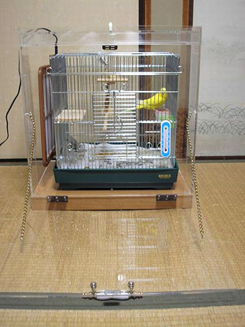 �A�N�����P�[�X�ŕۉ��A�h��