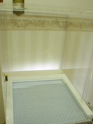 �����o���g���C