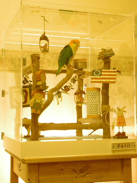 �V���n���C���R�̃A�N�����P�[�X