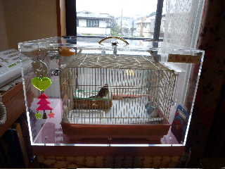 �A�N�����P�[�X�ŃX�Y����ۉ�