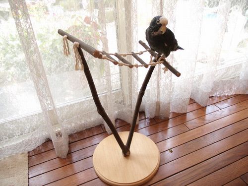 �C���R�p�o�[�h�W��