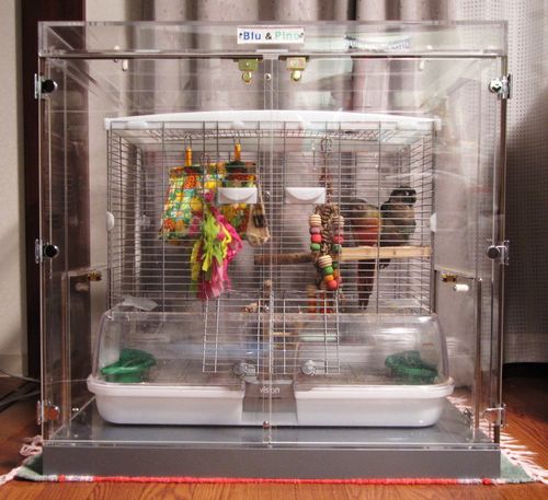 �E���R�C���R�̒���������ꂽ�A�N�����P�[�X