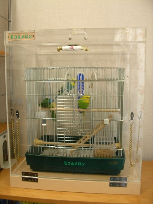 �Z�L�Z�C�C���R�̒���������ꂽ�A�N�����P�[�X