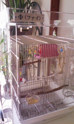 �E���R�C���R�̒���������ꂽ�A�N�����P�[�X