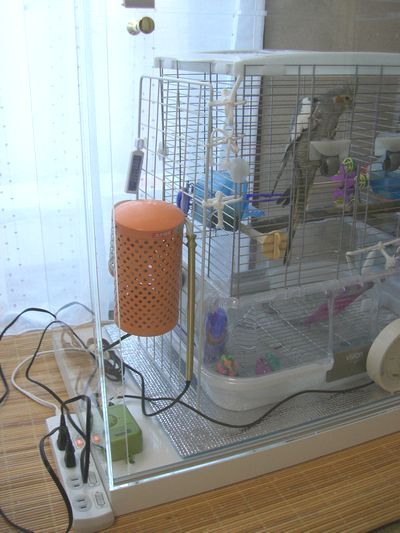 冬はペットヒーター設置