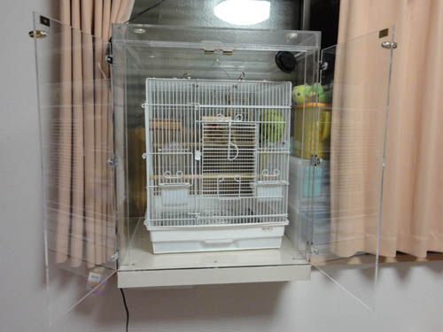 ���J�P�z���Z�C�C���R�̒���������ꂽ�A�N�����P�[�X