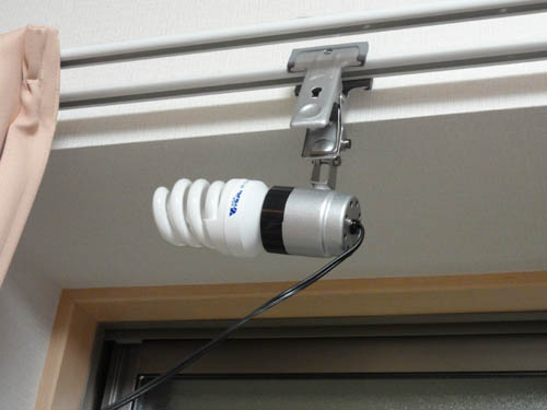 �������p�̃X�p�C�������C�g