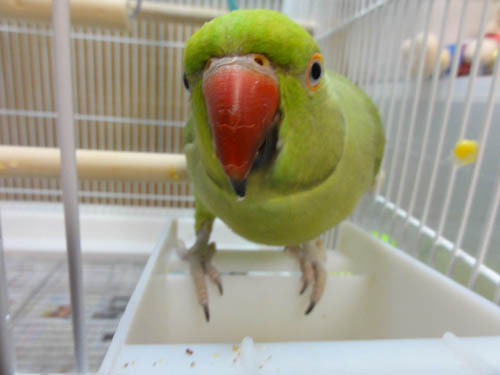 �킳�т�����N