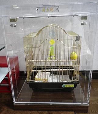 �Z�L�Z�C�C���R�̃A�N�����P�[�X�@�h���ړI