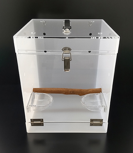 �A�N�����L�����[�P�[�X�@�����F