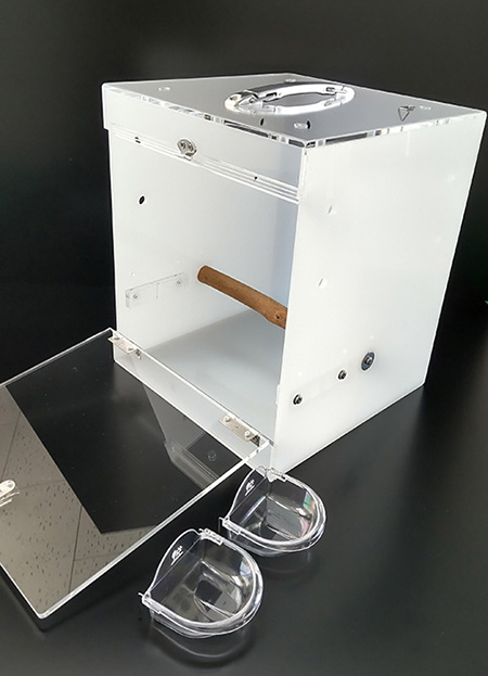 �L�����[�P�[�X�����J�����Ƃ���