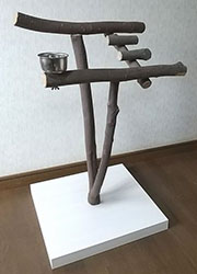 �o�[�h�W��no490/�n�b�s�[�P�[�X