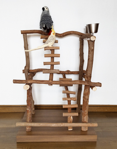 �n�b�s�[�P�[�X�@�o�[�h�W���@no501