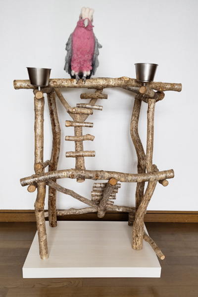 �n�b�s�[�P�[�X�@�o�[�h�W���@no502