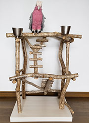 �o�[�h�W��no502/�n�b�s�[�P�[�X