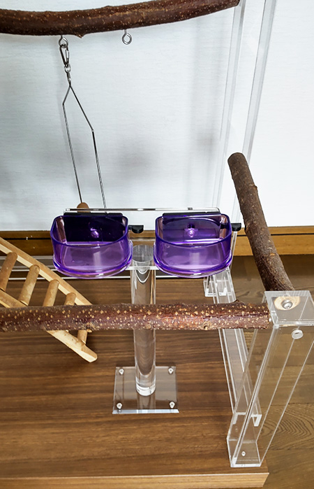 �a�J�b�v2�t��