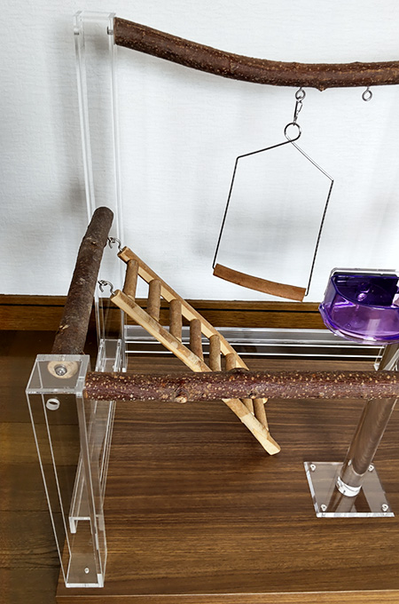 �u�����R�ƃn�V�S�t��