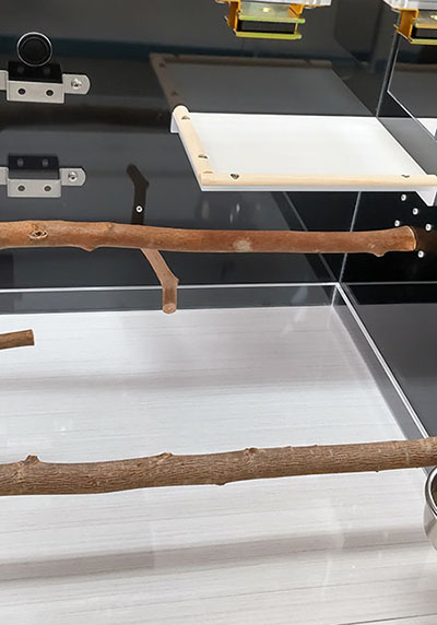 �C���R�̃A�N�����P�[�X�@�v���b�g�z�[���t��